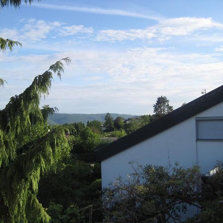 ErzingenHaus Am Weinbergアパートメント エクステリア 写真