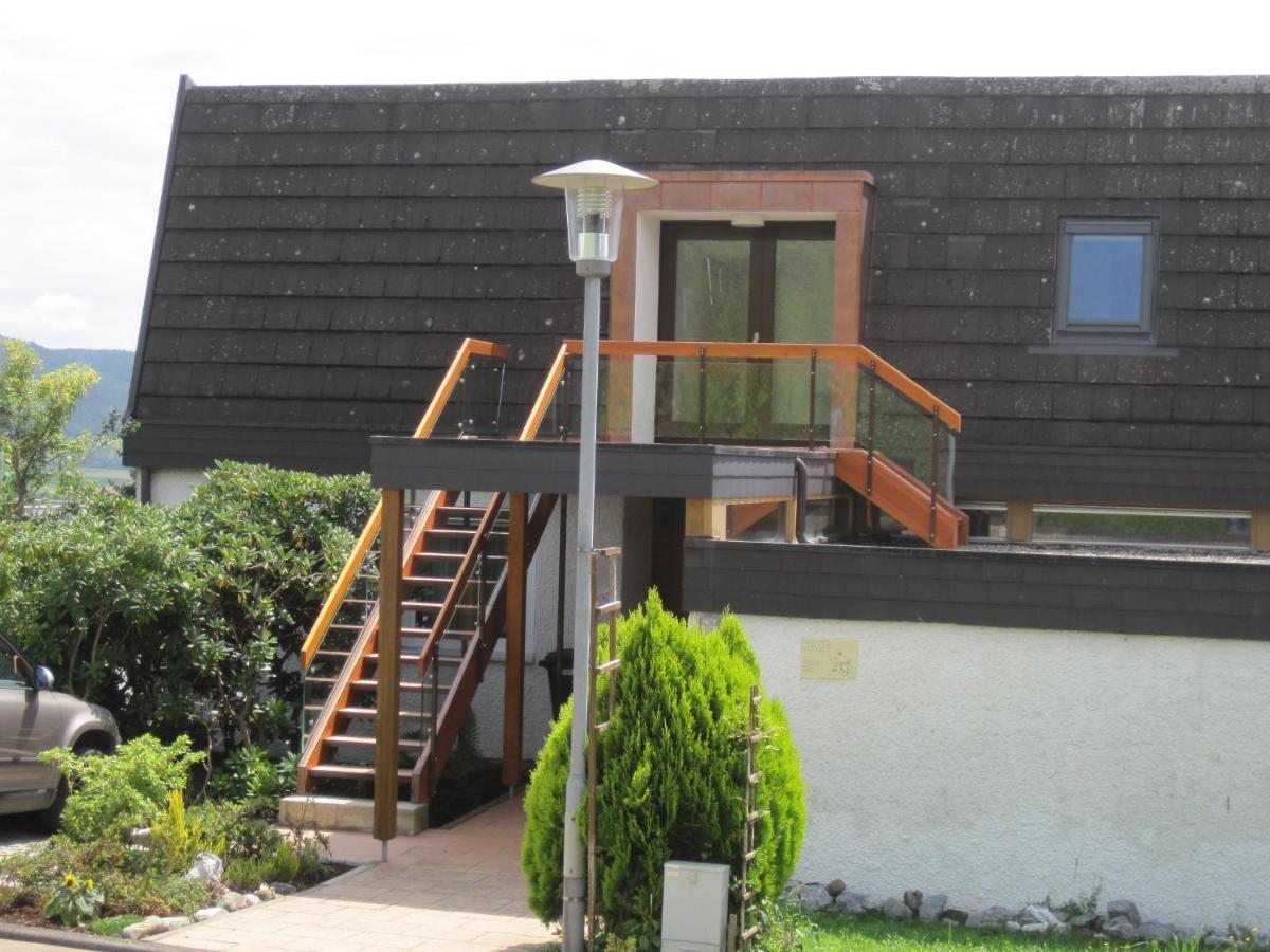 ErzingenHaus Am Weinbergアパートメント エクステリア 写真